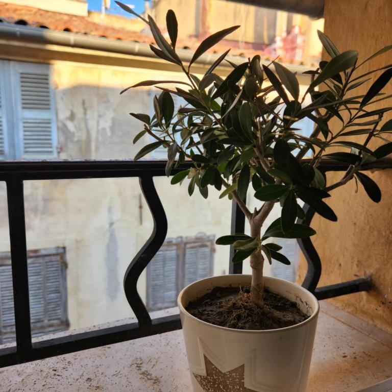 Le Beffroi de Gaston Climatisé - Apartamento de 1 dormitorio - 29
