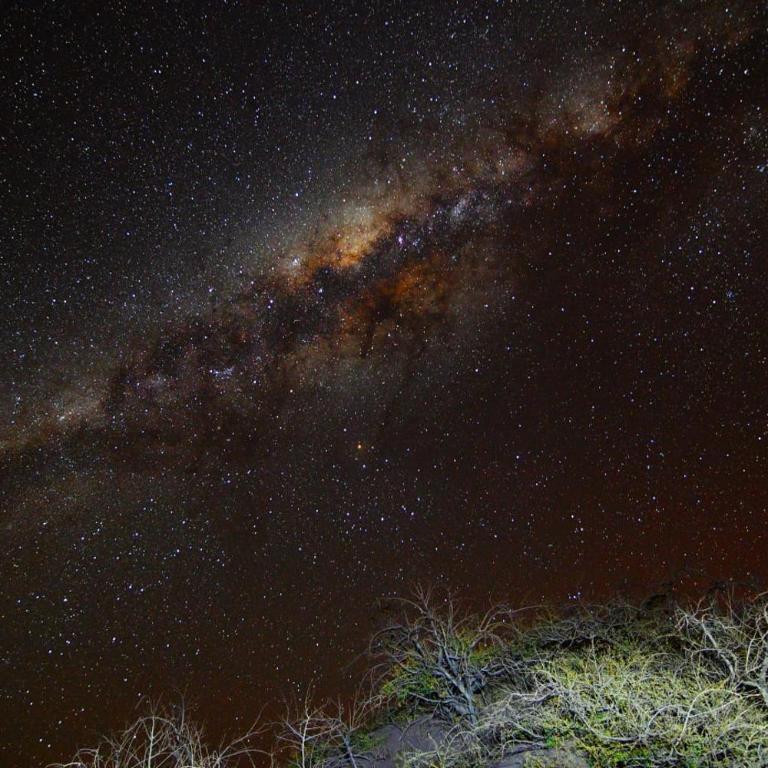 Dunas de tulor - Apartamento de 2 dormitorios - 1