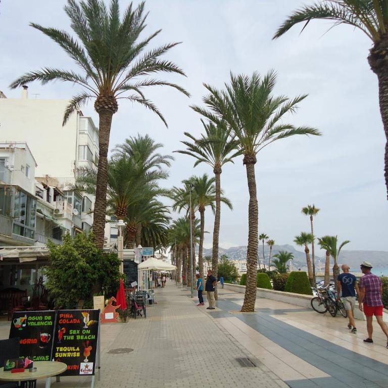 holiday hogar altea - Apartamento de 2 dormitorios - 2