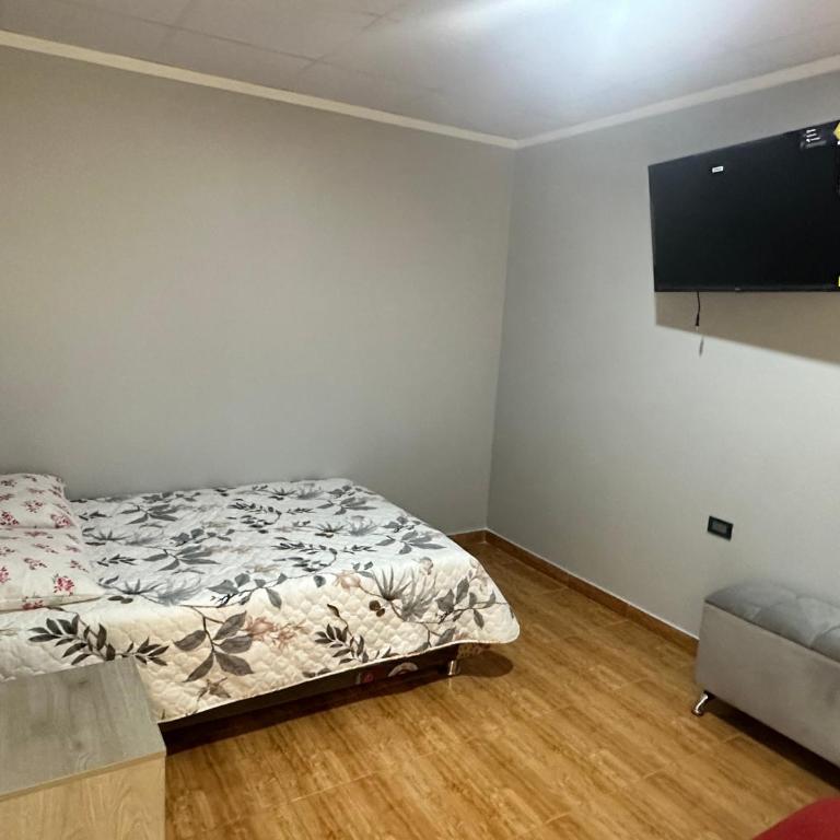 Abiro Danitza - Apartamento de 1 dormitorio - 4