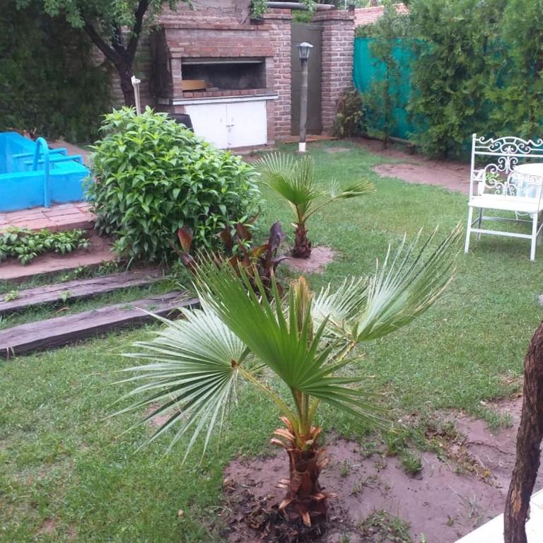 Chacras de coria - Mendoza- 2 ambientes - WIFI - One-Bedroom Apartment - 10