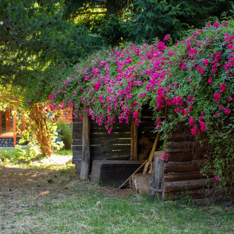 Petit Cottage - Chalet - 12