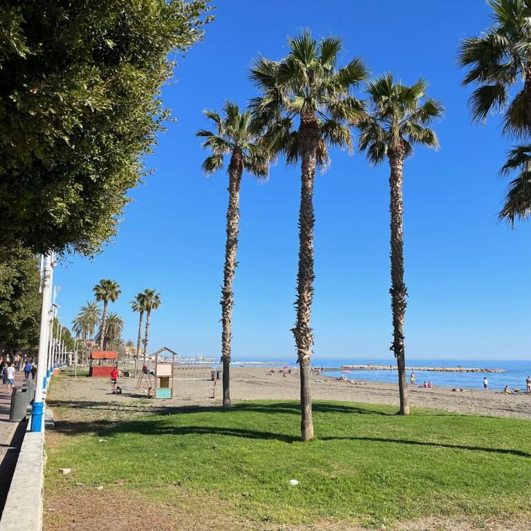 Apartamento La Biznaga - Apartamento de 3 dormitorios - 51