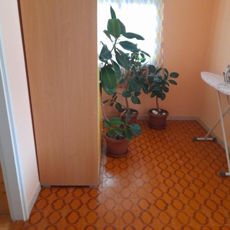 Anita Guest House - Two-Bedroom Apartment - 11