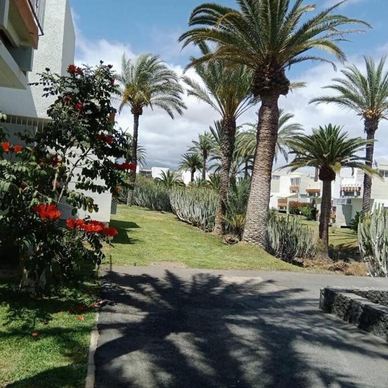 Veronicas Costa del Silencio - Apartamento de 1 dormitorio - 13