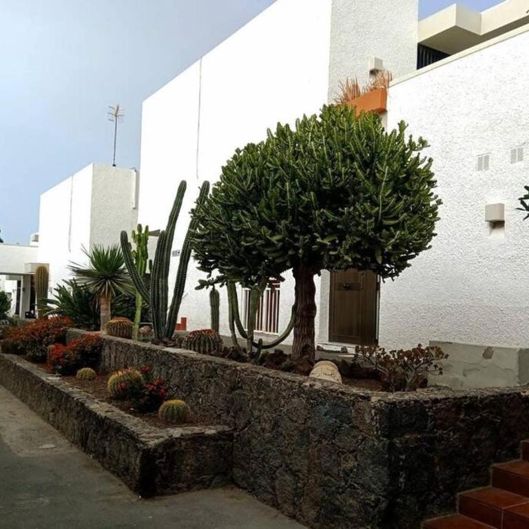 Veronicas Costa del Silencio - Apartamento de 1 dormitorio - 14