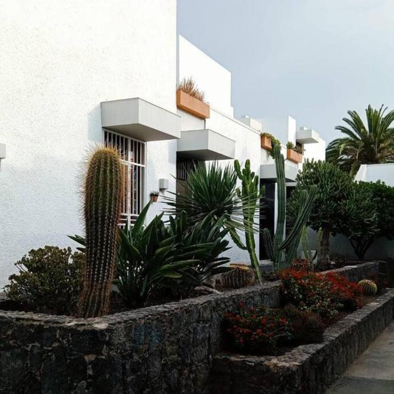 Veronicas Costa del Silencio - Apartamento de 1 dormitorio - 15