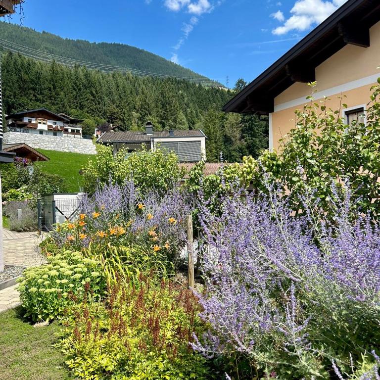 Ferienwohnung Wald - Appartement - 2