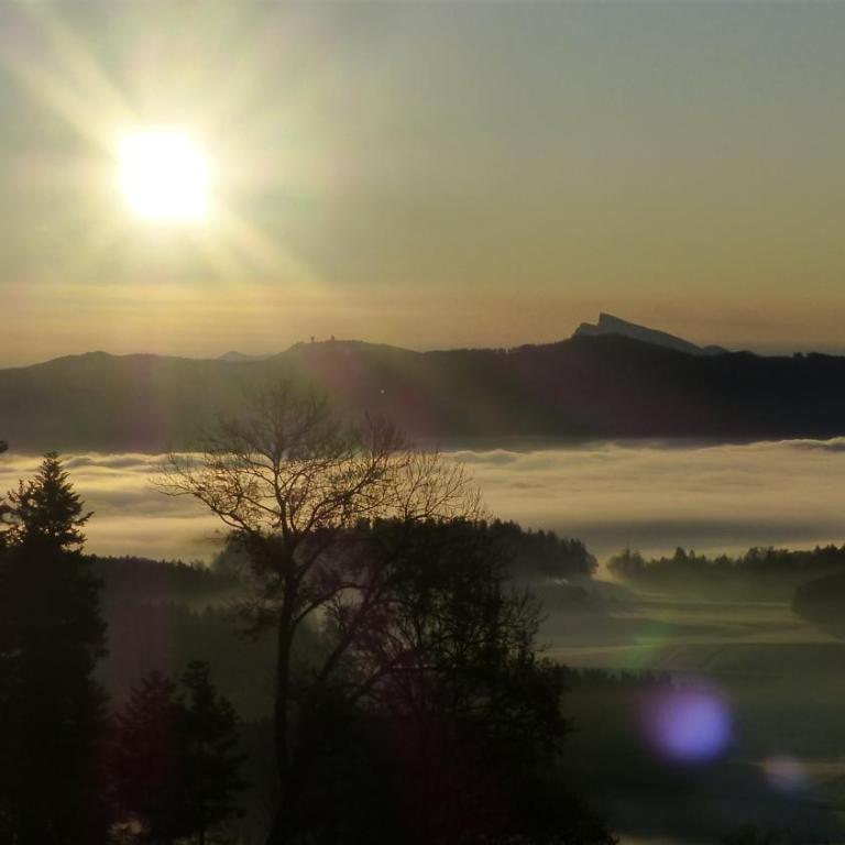 Ferienwohnung Steger - Apartment mit 2 Schlafzimmern - 9