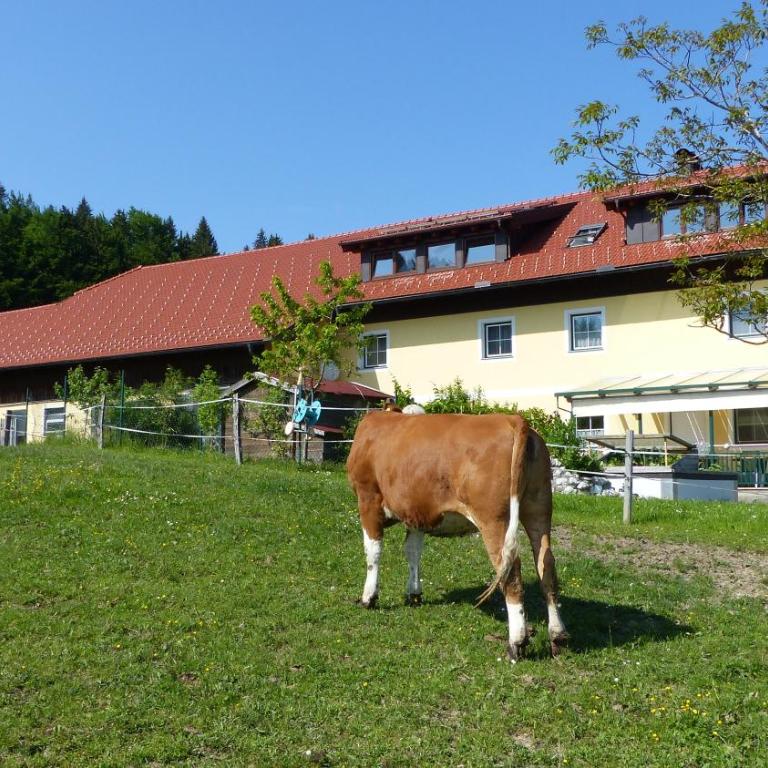 Ferienwohnung Steger - Apartment mit 2 Schlafzimmern - 10