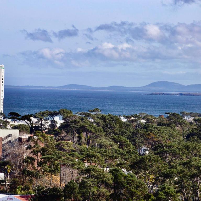 Oceana Suites Ocean Drive - Apartamento con vistas al mar - 7