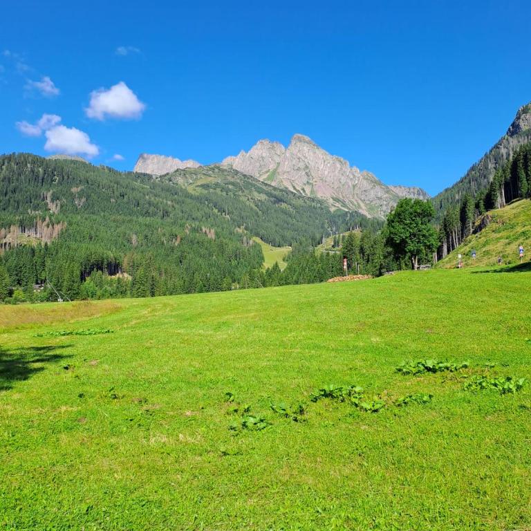 Appartamento con terrazza vista Pale di San Martino - Appartamento con Vista Montagna - 23