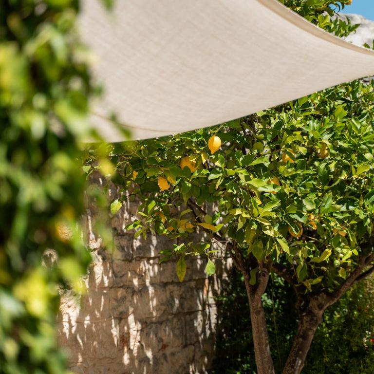 Trullo dell'Oleandro - Le Corti del Silenzio - Villa with Private Pool - 47