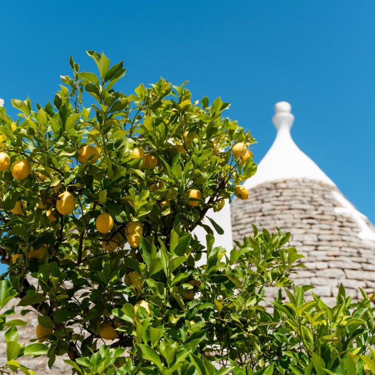 Trullo dell'Oleandro - Le Corti del Silenzio - Villa with Private Pool - 14