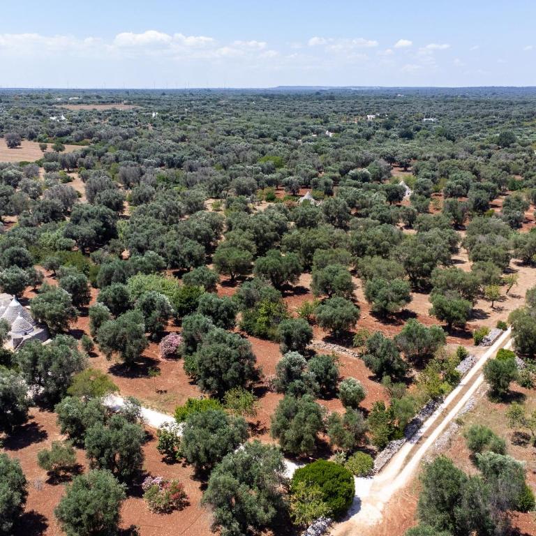 Trullo dell'Oleandro - Le Corti del Silenzio - Villa with Private Pool - 52