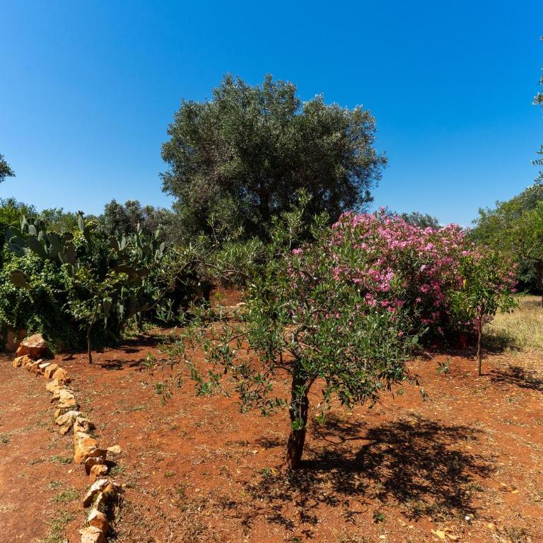 Trullo dell'Oleandro - Le Corti del Silenzio - Villa with Private Pool - 61