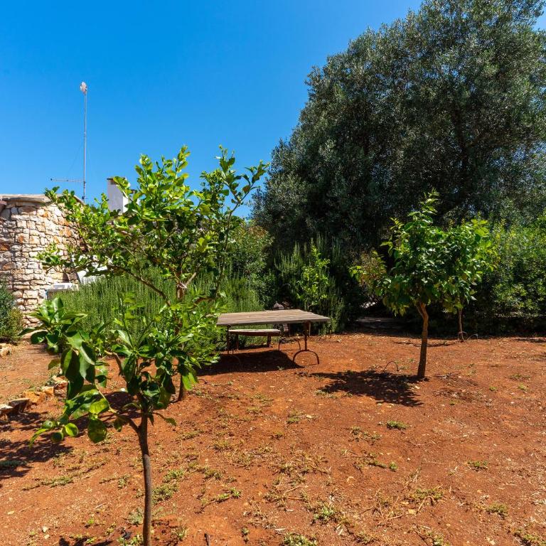 Trullo dell'Oleandro - Le Corti del Silenzio - Villa with Private Pool - 56
