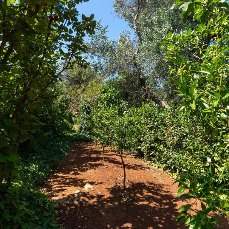 Trullo dell'Oleandro - Le Corti del Silenzio - Villa with Private Pool - 68