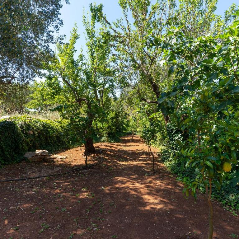 Trullo dell'Oleandro - Le Corti del Silenzio - Villa with Private Pool - 72