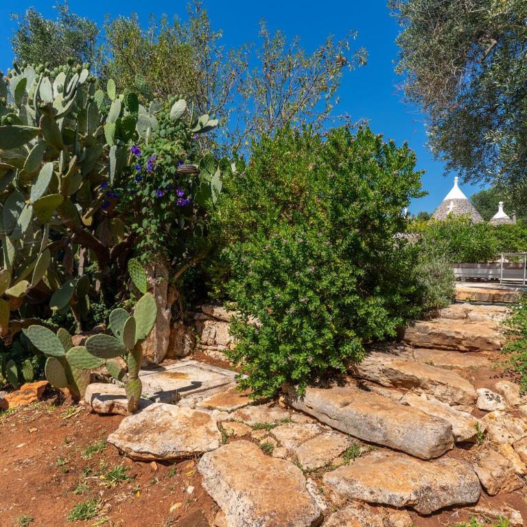 Trullo dell'Oleandro - Le Corti del Silenzio - Villa with Private Pool - 73