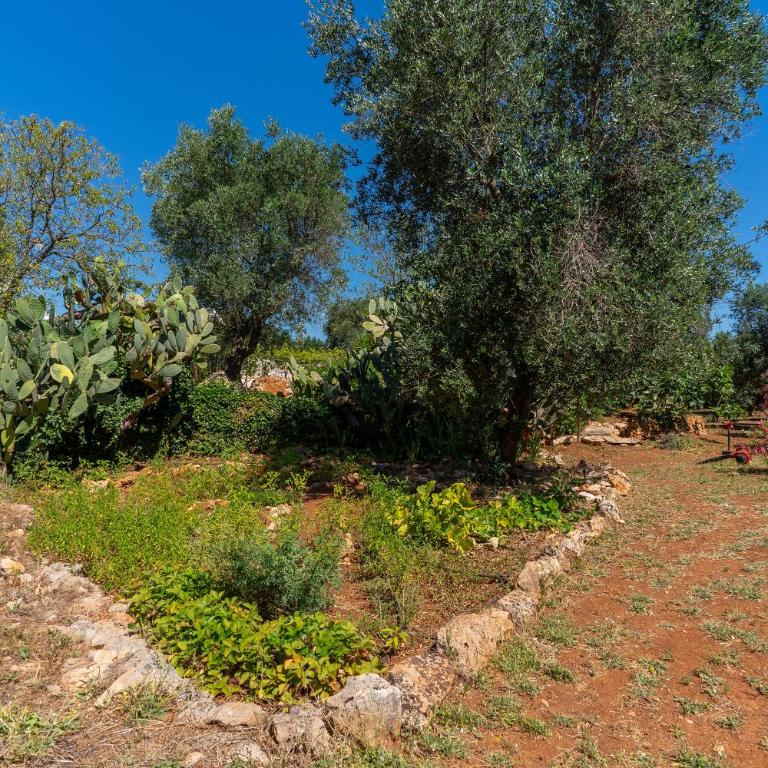 Trullo dell'Oleandro - Le Corti del Silenzio - Villa with Private Pool - 74