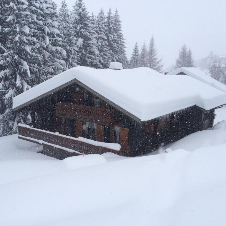 Les Gets - Chalet chaleureux pour 8 personnes - FR-1-623-314 - Chalet - 15