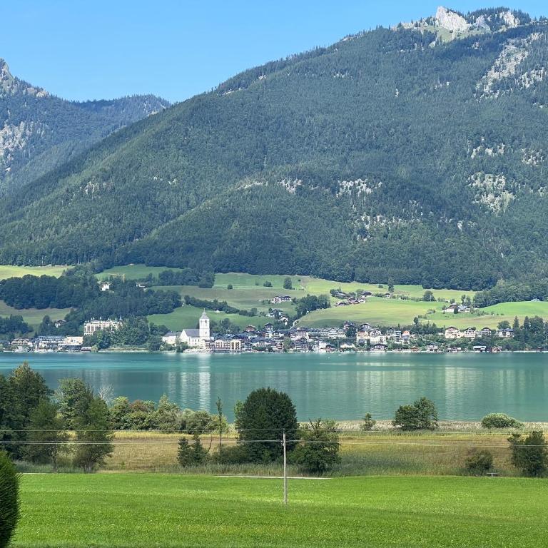 Wolfgangsee Ferienappartement „Almliebe“ - One-Bedroom Apartment - 35