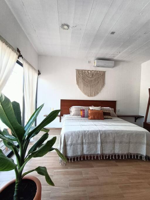 Casa Tres Iguanas, La Punta - Casa de 4 dormitorios - 19