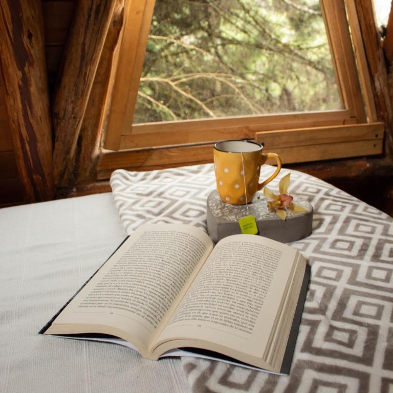 Glamping con jacuzzi cerca a Medellin - Casa con 1 dormitorio - 11