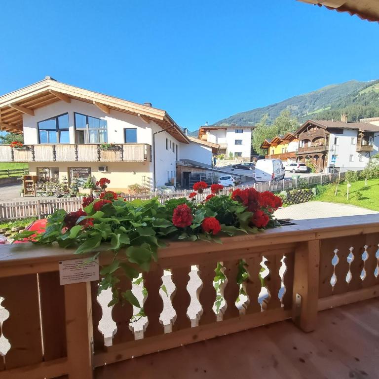 Greidlhof Alpstyle Apartments - Apartment mit Blick auf die Berge - 4