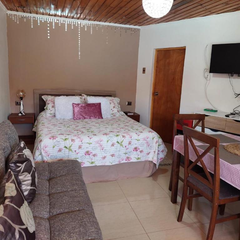 Posada El Turkito - Estudio con vistas a la piscina - 3