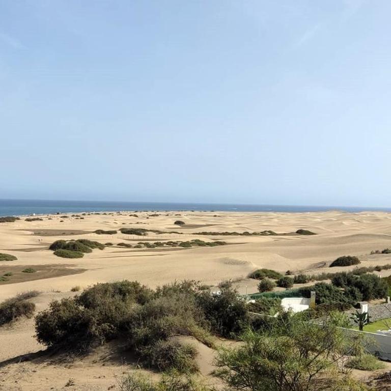 DALIUS HOME - Apartment with pool near the dunes of Maspalomas - Apartamento - 45