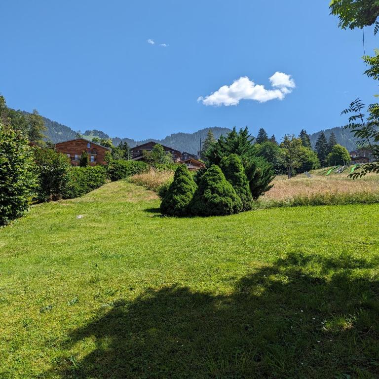 Calme, jardin & cheminée à Villars, proche centre - Apartment mit 1 Schlafzimmer - 29