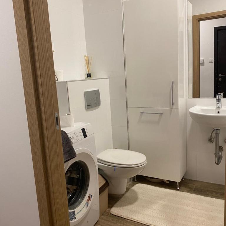 Zlatiborska Prirodna Idila - One-Bedroom Apartment - 30