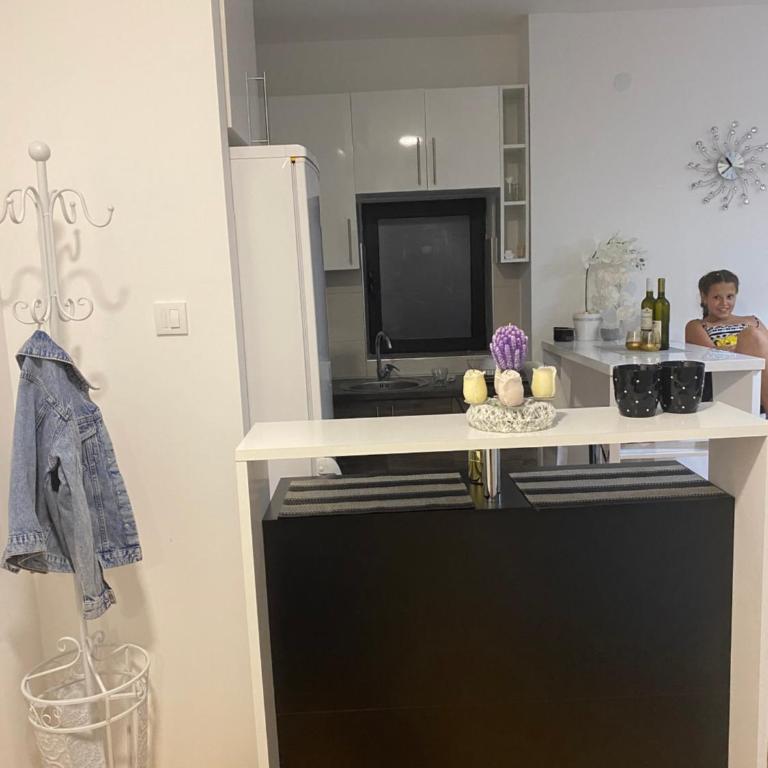 Zlatiborska Prirodna Idila - One-Bedroom Apartment - 25