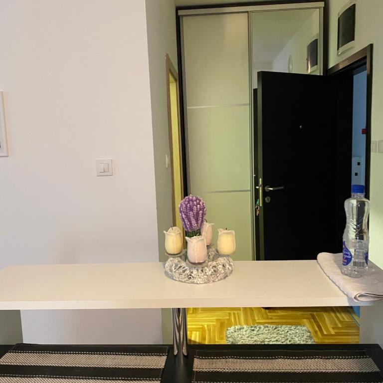 Zlatiborska Prirodna Idila - One-Bedroom Apartment - 32