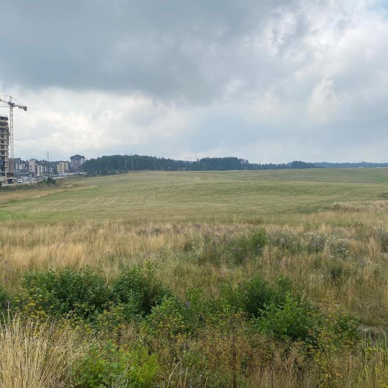 Zlatiborska Prirodna Idila - One-Bedroom Apartment - 57