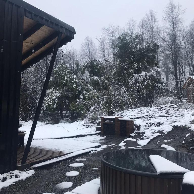 Cabaña en el bosque-Termas de Chillán - Casa de 2 dormitorios - 23