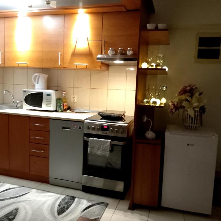 Apartman Simović, Vrnjačka Banja - Apartman sa 1 Spavaćom Sobom - 8