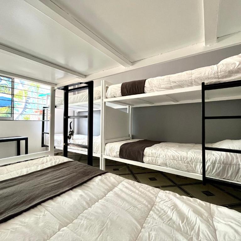 WHOST Hotel y Hostal - 6-Bed Mixed Dormitory Room - 6
