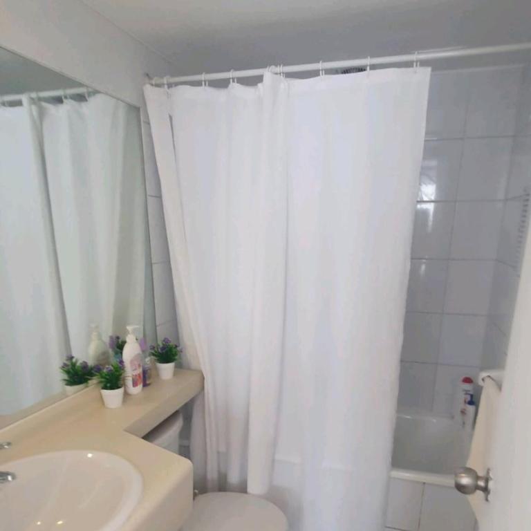 Departamento Centro Santiago con piscina y climatizador - One-Bedroom Apartment - 7