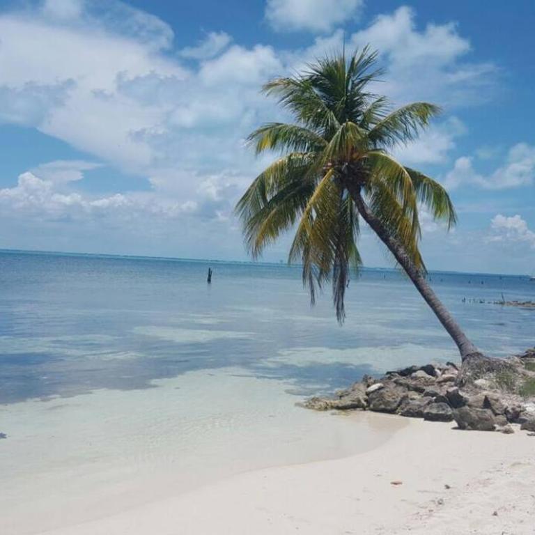 Marysol private beach next to nomads d5 - One-Bedroom Apartment - 5