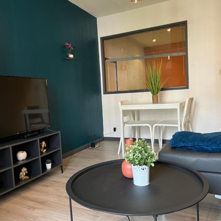 « Le Bloom » T2 en centre ville avec parking - Apartment mit 1 Schlafzimmer - 9