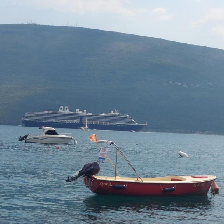 Little Sunshine - One-Bedroom Apartment - 23