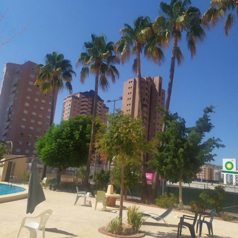 New Bali 32-Edificio Zamora - Apartamento de 1 dormitorio - 18