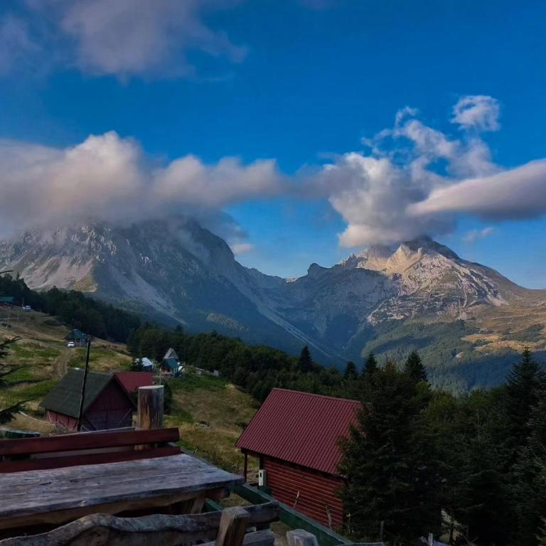 Komovi - Montenegrina Mountain house - Kuća sa 1 Spavaćom Sobom - 26