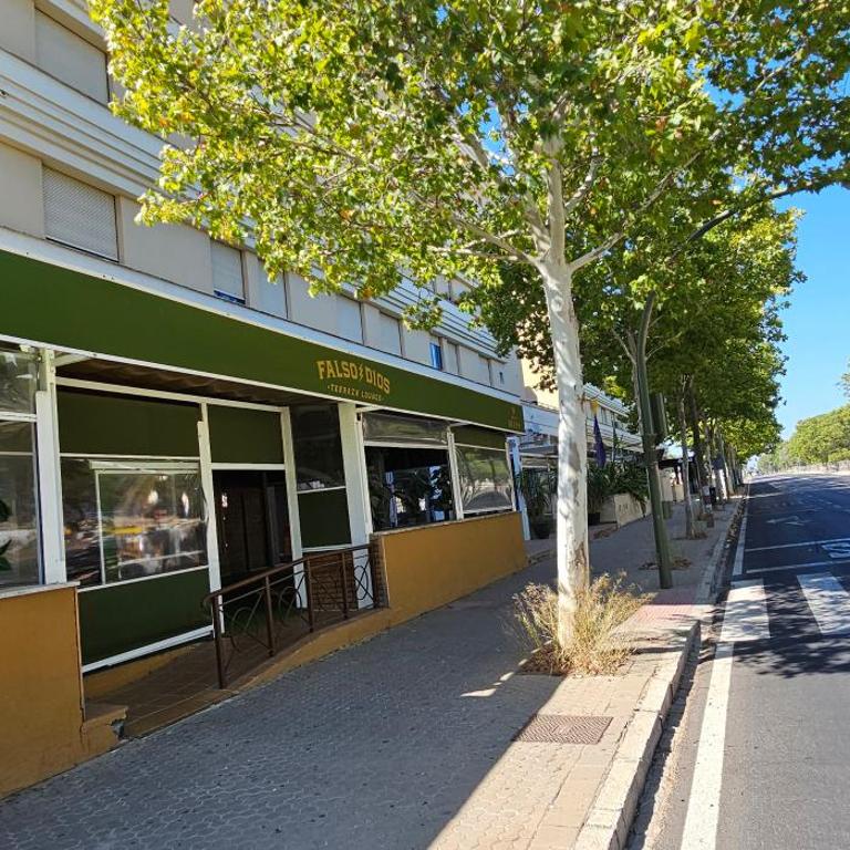 Apto Lux Sevilla - Apartamento de 1 dormitorio - 17