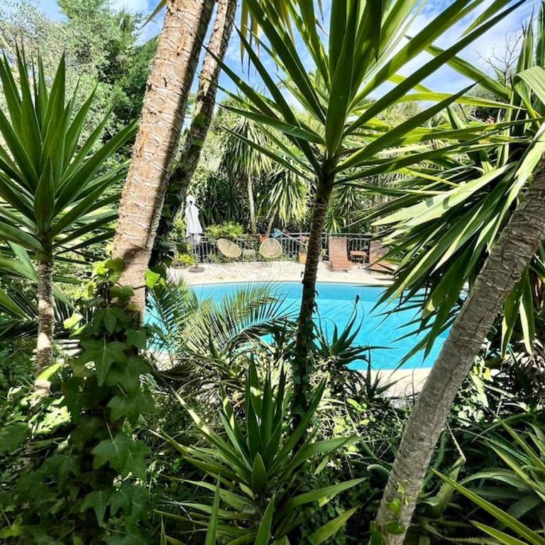 Villa French Riviera - Maison 3 Chambres - 3