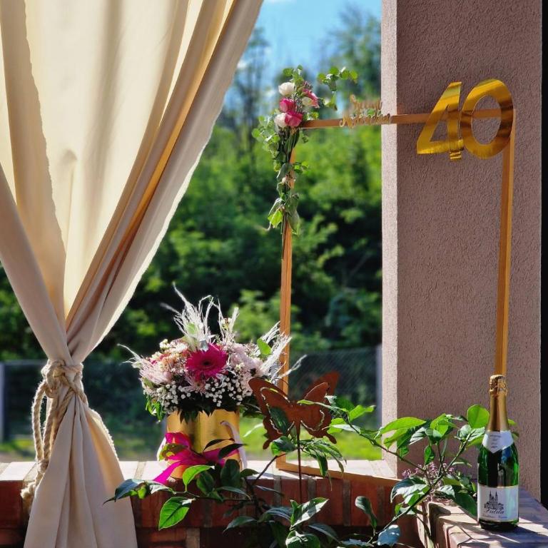 Vikendica Villa Ramona Banja Luka - Vila sa 3 Spavaće Sobe - 40