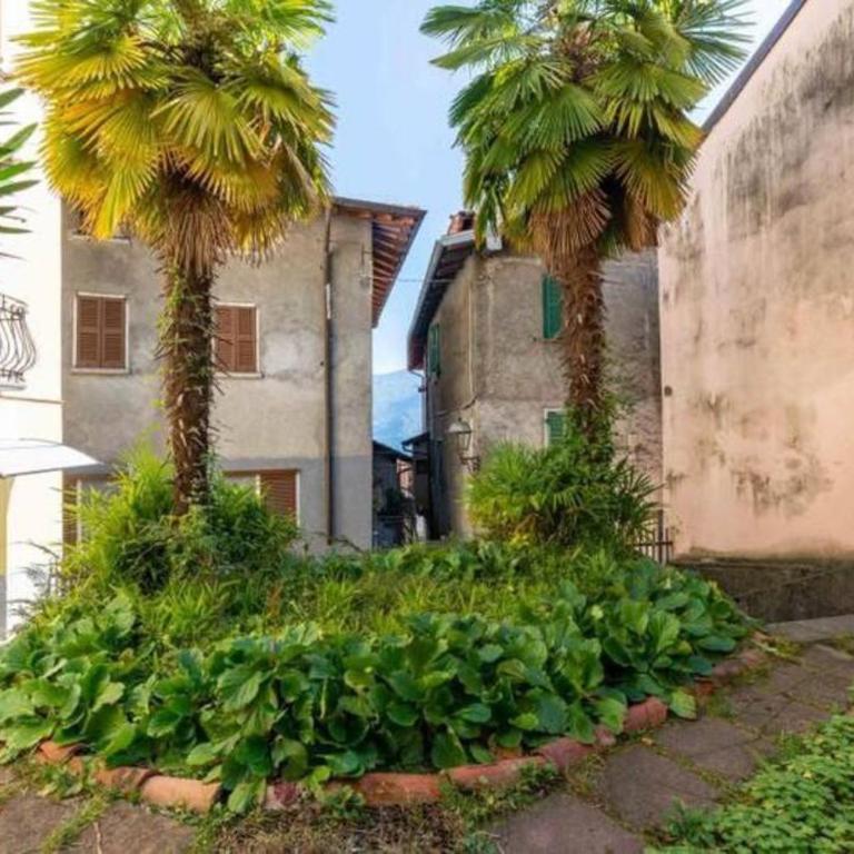 Bilocale - Lago di Como apt - One-Bedroom Apartment - 3